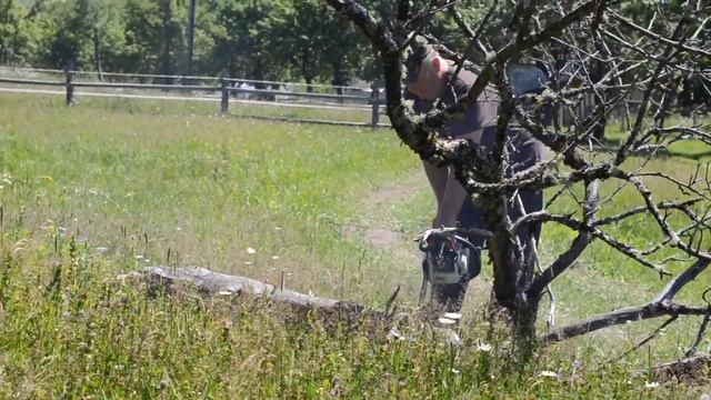 Заповедные истории. Дневник Алтайский заповедник смотреть онлайн