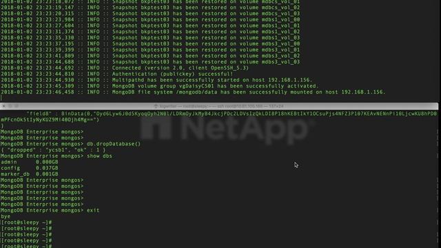 Kairos - MongoDB Data Protection on NetApp: Restore смотреть онлайн