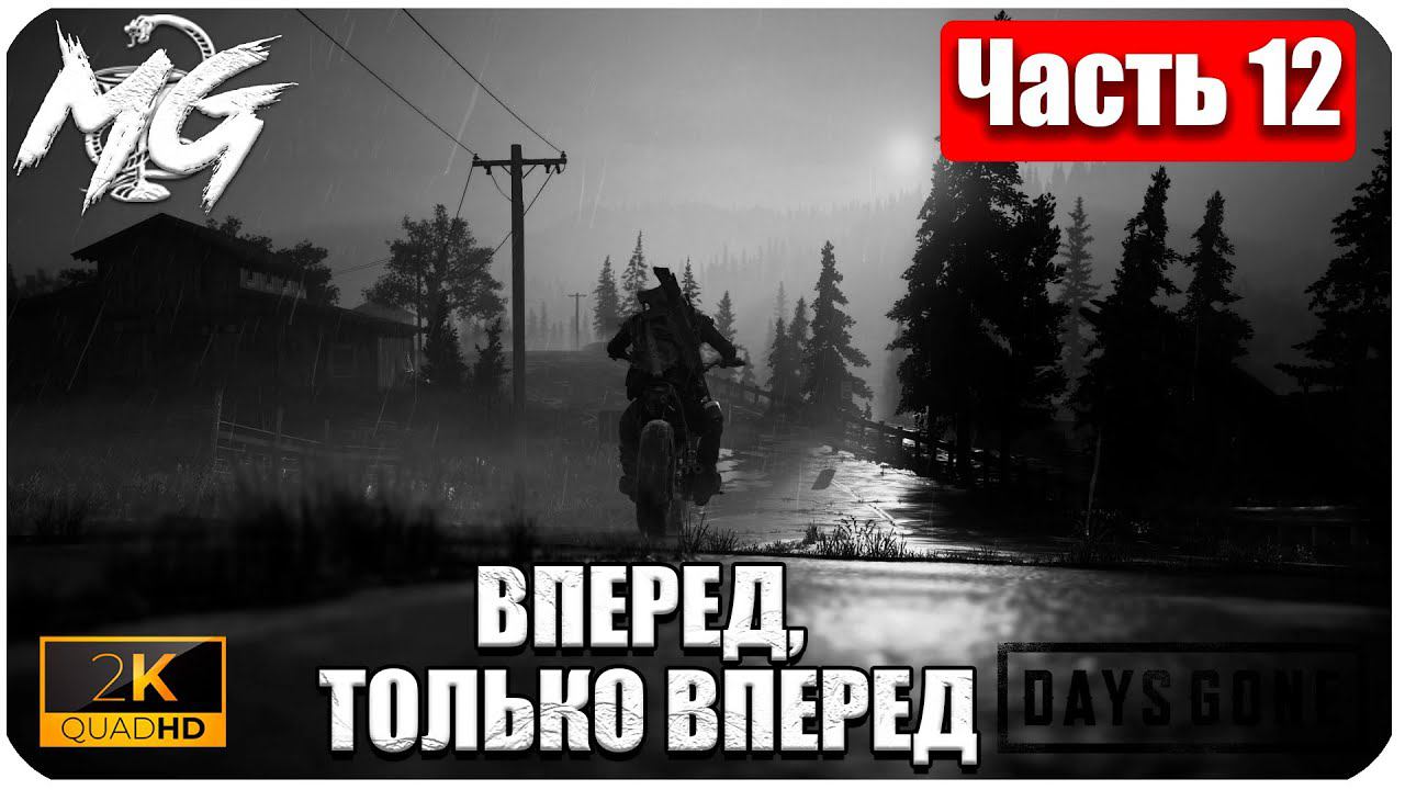 Days Gone ᐅ ЖИЗНЬ ПОСЛЕ ᐅ ПРОХОЖДЕНИЕ НА РУССКОМ В 2[К] ᐅ ЧАСТЬ 12