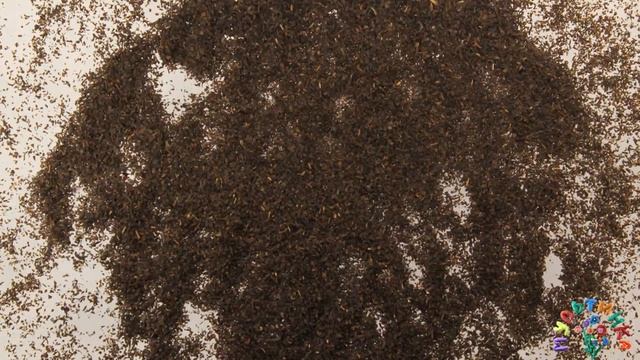 Злость смотреть онлайн