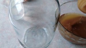 ЧАЙНЫЙ ГРИБ польза и противопоказания. Как правильно заварить чайный гриб.