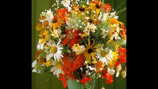 Наташенька, с Днем Рождения! смотреть онлайн