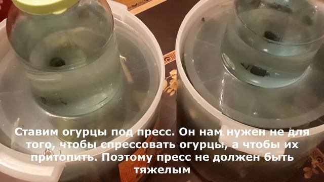 Рецепт огурчиков "Вырвиглаз" с горчицей. Заготовки на зиму смотреть онлайн