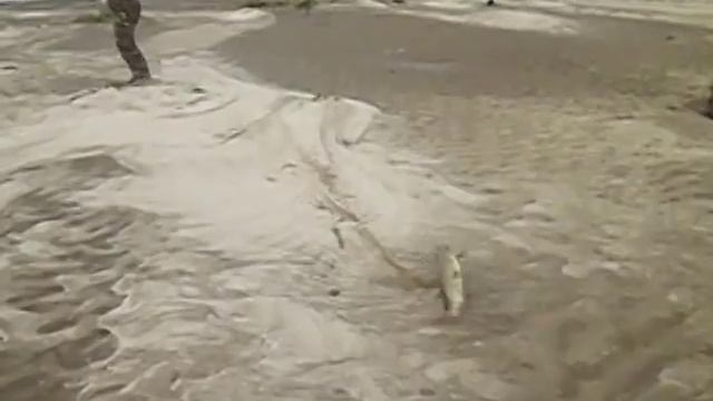 Рыбалка Вилюй. Якутия смотреть онлайн