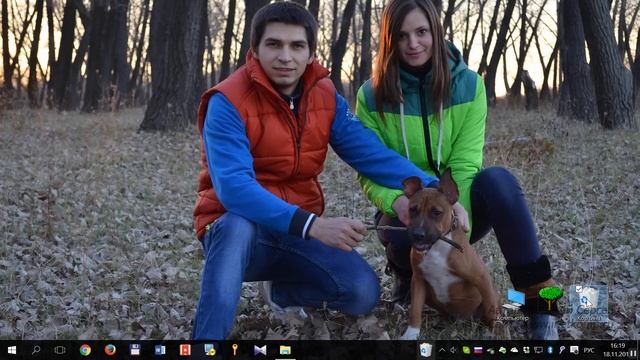 Ноутбук на Windows тормозит. Что делать? 8 причин! смотреть онлайн