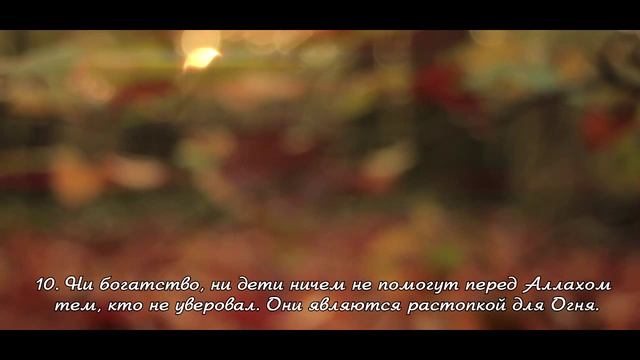 Youssef Edghouch. Сура "АльИмран" (5-15). смотреть онлайн