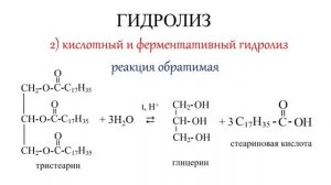 Жиры. Химические свойства. Все 5 реакций ЕГЭ..mp4