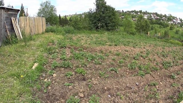ФУТБОЛКА ДЛЯ КОЗЫ//ЗАБОРНЫЕ ДЕЛА//деревенские будни смотреть онлайн