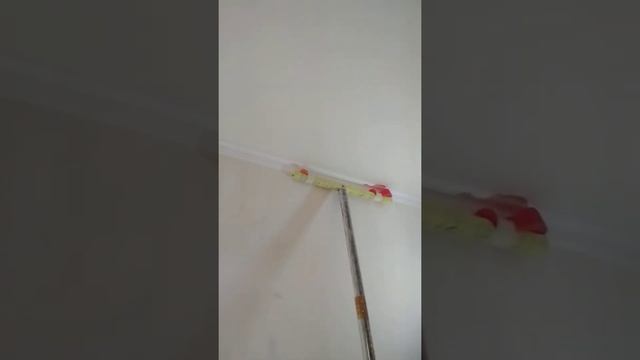 Поклейка обоев на потолок одному смотреть онлайн