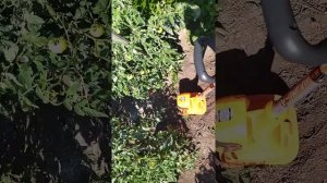 Daewoo DAT400E электрический культиватор