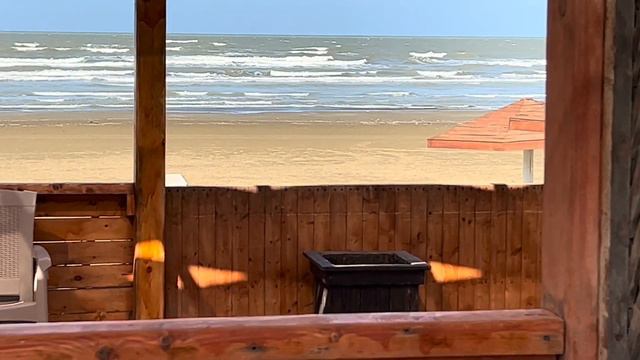 День Учителя!Прогулка у моря с собакой смотреть онлайн