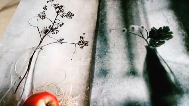 Наташа Фохтина приглашает на урок "Акценты".25.01 смотреть онлайн