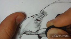 Рисуем сокола. Арт карандашом(HB),и чёрной ручкой.)