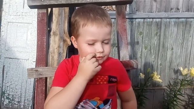 В деревне лучше//Снимаю с сыном.(13) смотреть онлайн