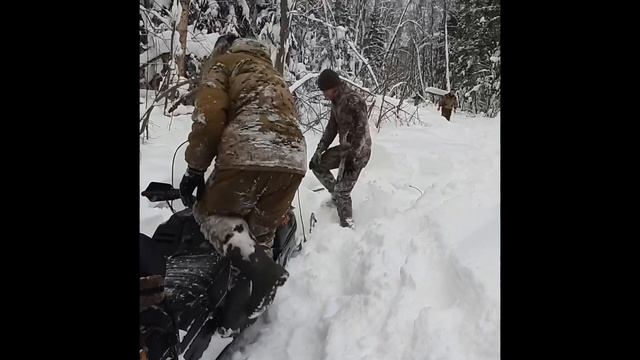Снегоход Рысь-440, поведение в лесу , неожиданные поломки . смотреть онлайн