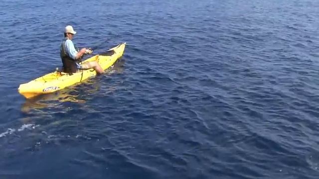 Marlin fishing on a Kayak
