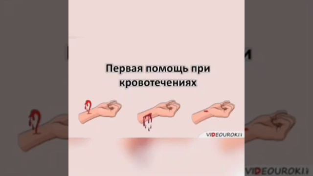 кружок "Человек и его здоровье" смотреть онлайн