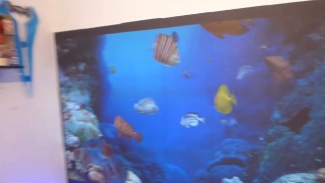 Done my 105" 16:10 luminous ALR gamer screen painted ( STYROFOAM )projection screen part 2 смотреть онлайн