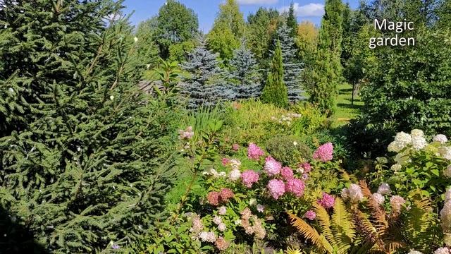 Полдень - Музыка Сергея Чекалина смотреть онлайн