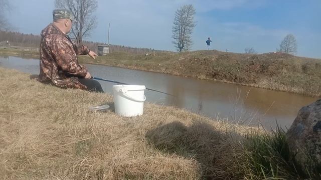 Весенние караси.