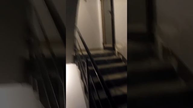 УК "СТ-Сервис" (Техноком) г.Химки ул. Совхозная и их отношение к общедомовому имуществу смотреть онлайн