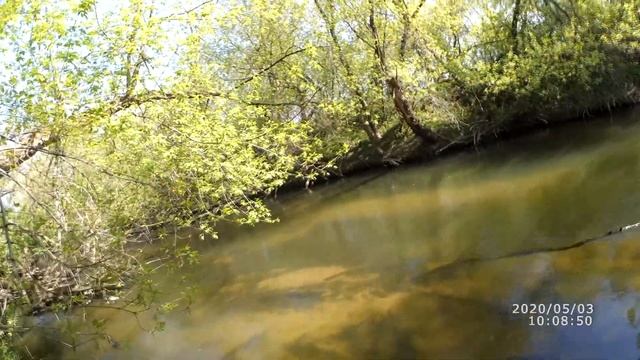 Рыбалка в самоизоляции на реке Оскол,сход голавлика .Поворот на Сорокино. смотреть онлайн