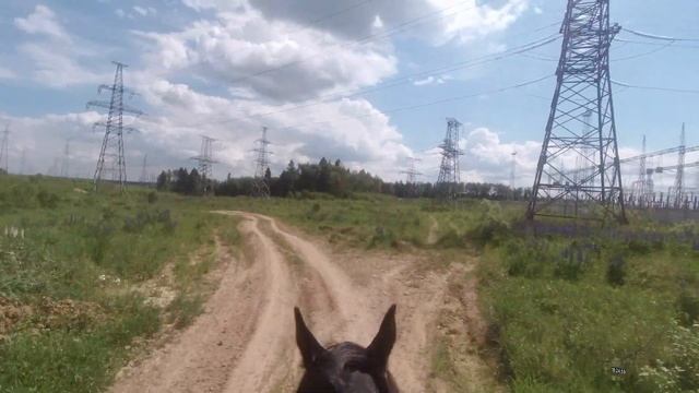 Как решить проблему со слепнями (оводами) при верховой езде. смотреть онлайн