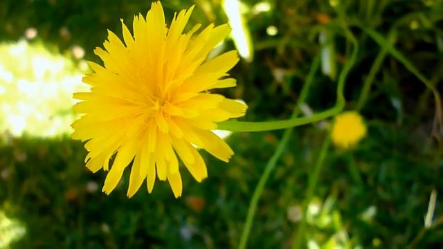 Quick Test Video - Panasonic Lumix DMC-S3 смотреть онлайн
