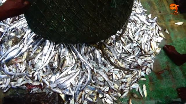 TRAWL NET FISHING - EPISODE 10 смотреть онлайн