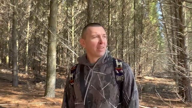 Новозеландские подберезовики и белые грибы смотреть онлайн