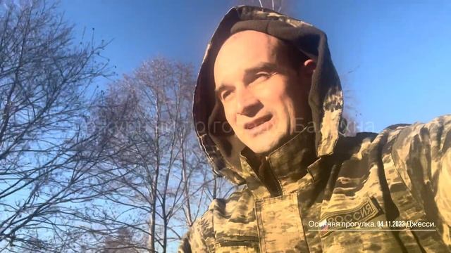 Осенняя прогулка с Джесси. Городецкий район. 04.11.2023 от Дежурного. смотреть онлайн