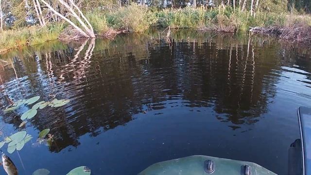 Щука на КРУЖКИ!!! СНАСТЬ ПОРАЖАЕТ! Поклевка за поклевкой. Щука РВЁТ ЖИВЦА!!! Ловля КАРАСЯ на пруду. смотреть онлайн