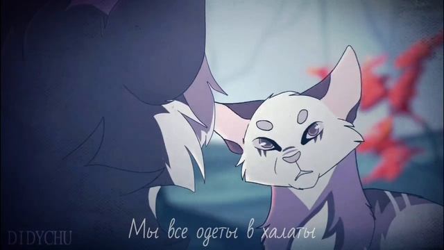 Animation Tribute | Коты Воители - Клип ~ Dark forest смотреть онлайн