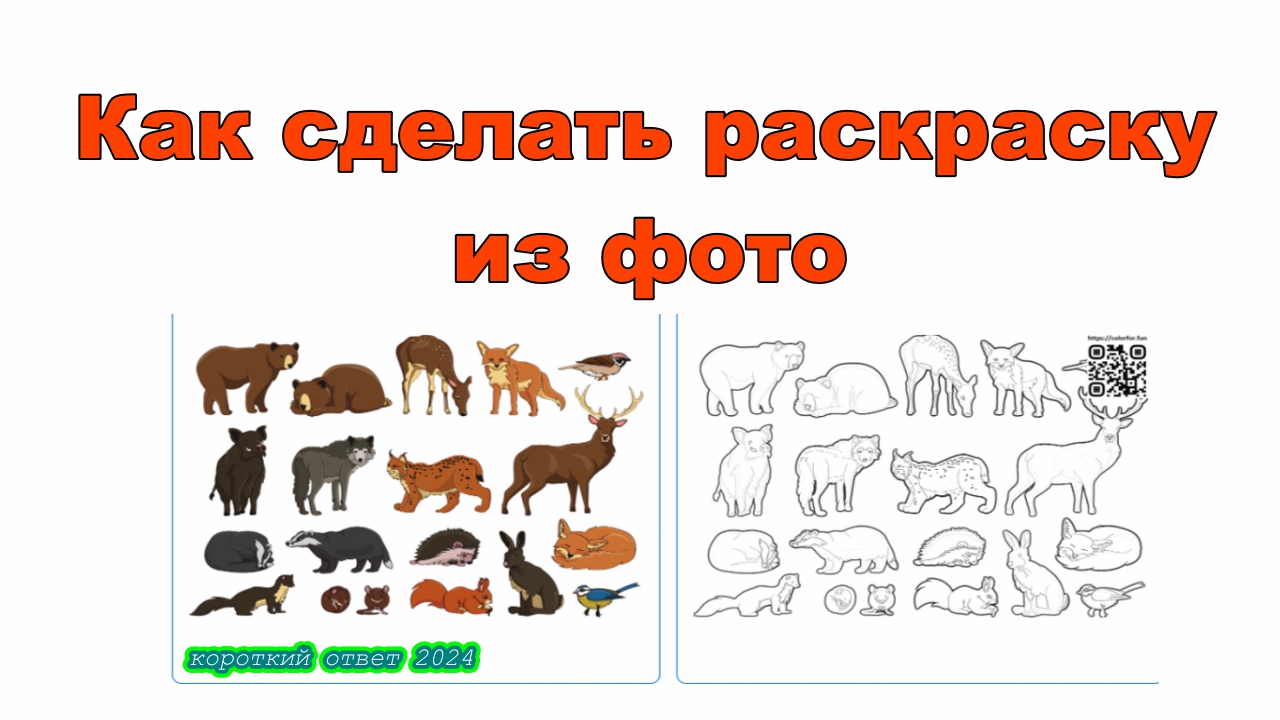 Как сделать раскраску из вашего фото смотреть онлайн