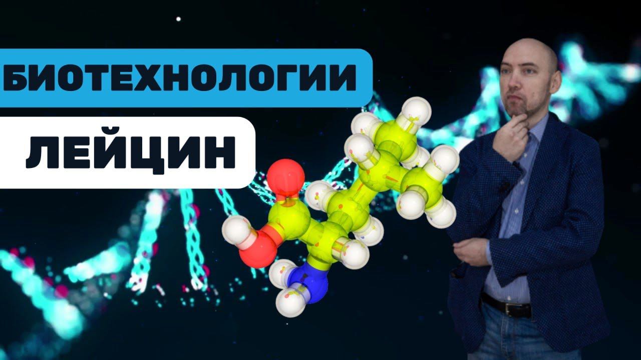 Что такое лейцин? Душкин объяснит смотреть онлайн