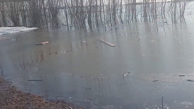 Ледоход в Сибири. смотреть онлайн