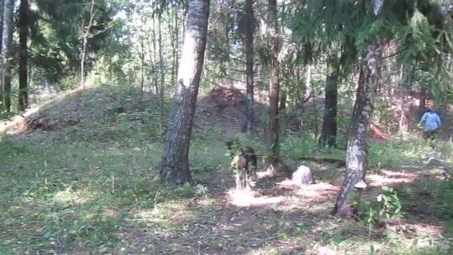 140811 самостоятельная работа урс.MOV смотреть онлайн