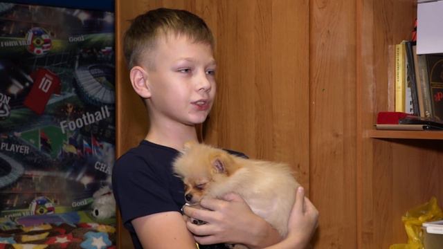 Домашние любимцы №2 от 15 02 2020 смотреть онлайн