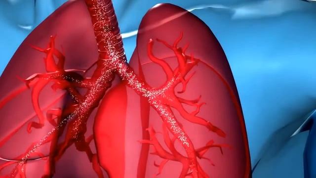 PARI GmbH Inhalation with PARI BOY® SX смотреть онлайн