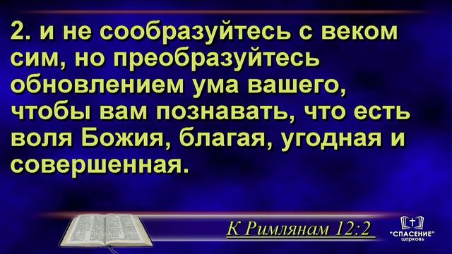 18 августа 2024 (утро) / Воскресное богослужение / Церковь Спасение смотреть онлайн