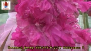 ГЛАДИОЛУСЫ  10 Лазаревич Т. Мир гладиолусов