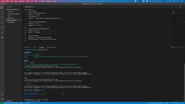 How to use Poetry to Manage Python Dependencies and Publish Packages смотреть онлайн