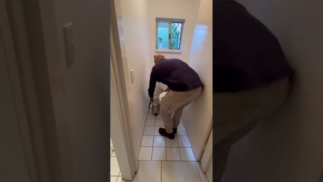 3-Foot Red-Bellied Black Snake Removed From Bathroom смотреть онлайн