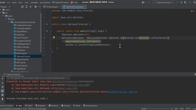 Java 8 Optional Class смотреть онлайн