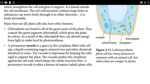 Grade 9 Biology Unit 2 Part 5 смотреть онлайн