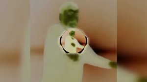 Мистер бист ест рис (быстрая версия)