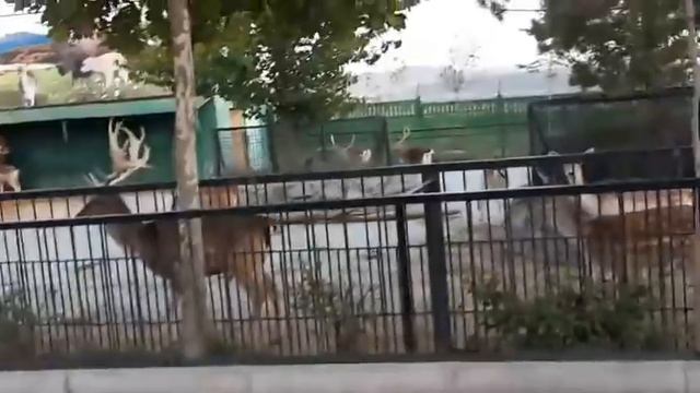 Наш день в Тайгане ❤❤❤. смотреть онлайн