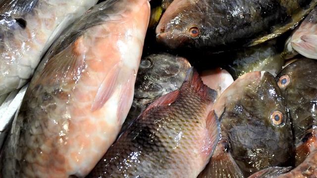 Billingsgate Fish Market - Star to Fall as background music смотреть онлайн