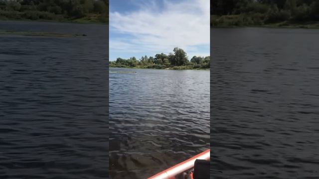 Ямаха 15 2 такта река Припять смотреть онлайн