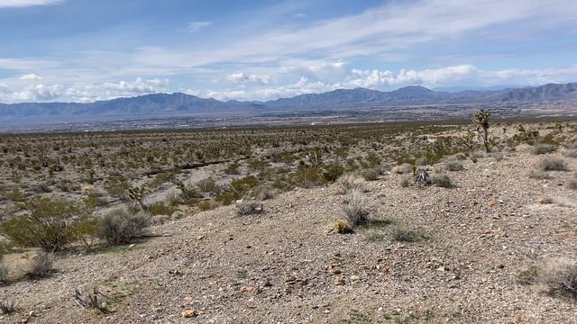 Pahrump, NV Boondocking. Solo Van Life. смотреть онлайн